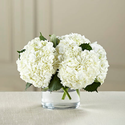 White Hydrangea Bouquet –  Tri-city Florist, Vista CA