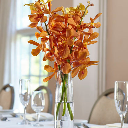 Orange Mokara Bud Vase –  Tri-city Florist, Vista CA